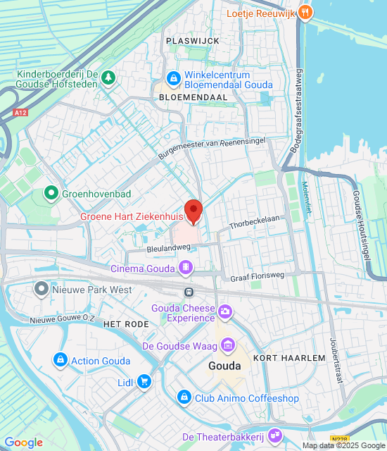 Google maps afbeelding voor Spoed Apotheek Midden-Holland