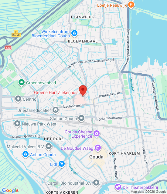 Google maps afbeelding voor Spoed Apotheek Midden-Holland